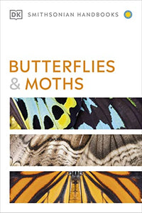 Butterflies and Moths 