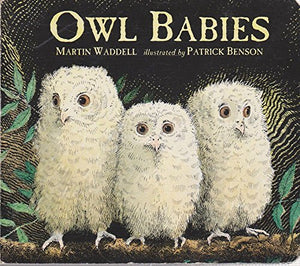 Owl Babies 