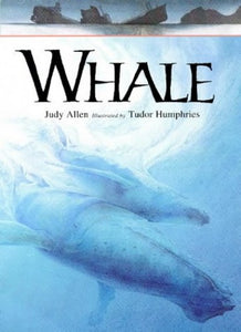 Whale 