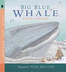 Big Blue Whale 