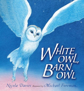 White Owl, Barn Owl 