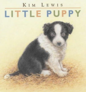 Little Puppy Board Book 