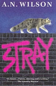 Stray 