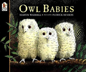 Owl Babies 