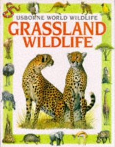 Grassland Wildlife 