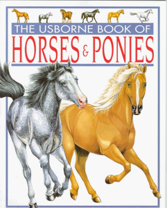 The Usborne Book of Horses and Ponies 