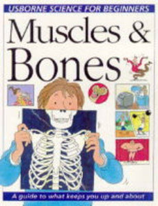 Understanding Your Muscles and Bones 