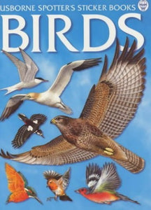 Birds 