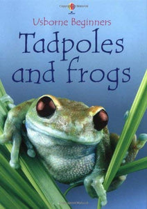 Tadpoles and Frogs 