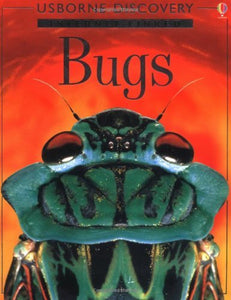 Bugs 