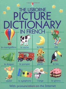 Usborne Picture Dictionary in French 