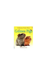 Guinea Pigs 