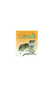 Gerbils 