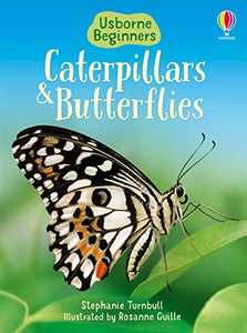 Caterpillars and Butterflies 