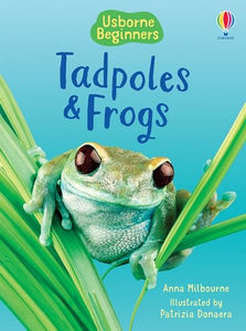 Tadpoles and Frogs 