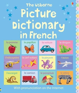 Picture Dictionary in French 