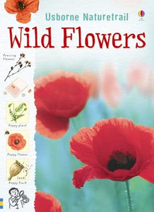 Wild Flowers 