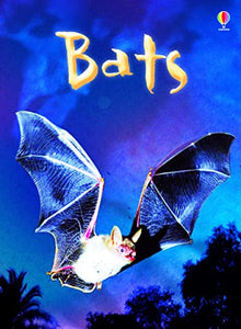 Bats 