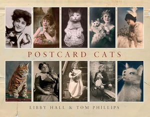 Postcard Cats 