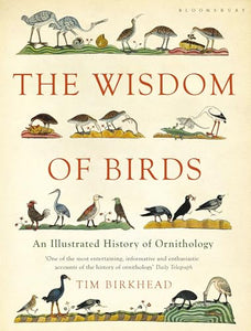 The Wisdom of Birds 