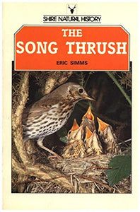 The Song Thrush 