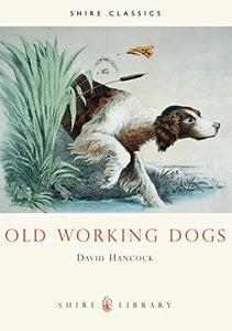 Old Working Dogs 