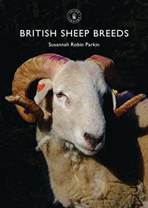 British Sheep Breeds 