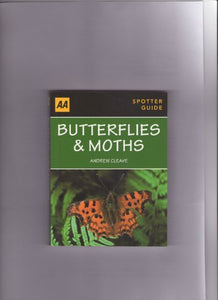 Butterflies & Moths 