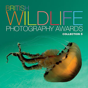 British Wildlife Photography Awards: Collection 5 