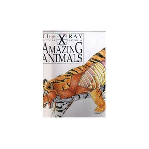 X Ray Picture Book of Amazing Animals 