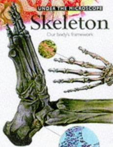 The Skeleton 