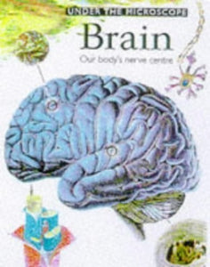 Brain 