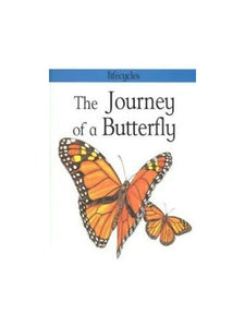 The Journey of a Butterfly 