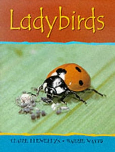 Ladybirds 