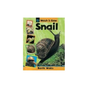 Snail 