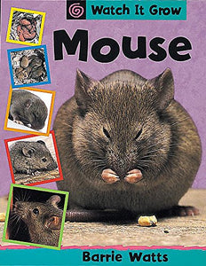 Mouse 