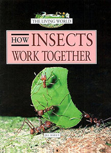 How Insects Work Together 