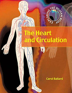 The Heart and Circulation 