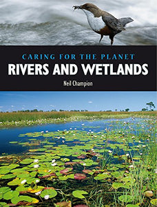 Rivers and Wetlands 