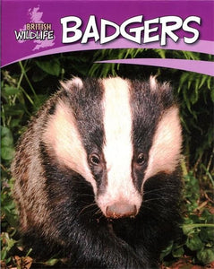 Badgers 