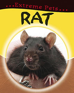 Rat 