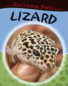 Lizard 