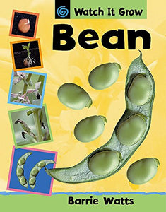 Watch It Grow: Bean 