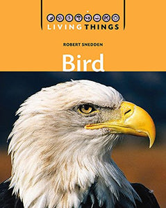 Living Things: Bird 