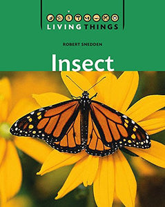 Living Things: Insect 