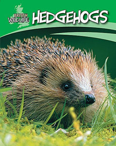 British Wildlife: Hedgehogs 