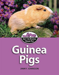 Guinea Pigs 