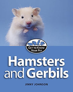 Hamsters and Gerbils 