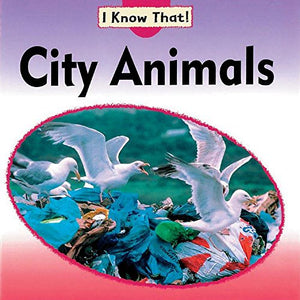 City Animals 