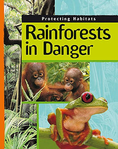 Rainforests In Danger 